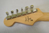 Fender The Steve Lacy Peoply Pleaser Stratocaster.