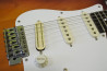 Charvel CST-050 +FT-Pickups Set