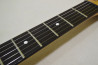 Charvel CST-050 +FT-Pickups Set