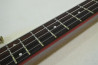 Fernandes FRB-45