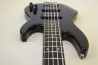 5-String ESP AP-250SL5. Original Series.