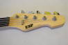 5-String ESP AP-250SL5. Original Series.