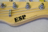 5-String ESP AP-250SL5. Original Series.