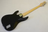 5-String ESP AP-250SL5. Original Series.