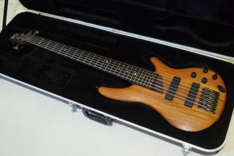 6-String Ibanez Prestige SR3006E SOL