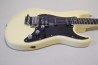 Fernandes FST-65 +Mighty Mite PU Set