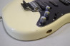 Fernandes FST-65 +Mighty Mite PU Set