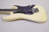 Fernandes FST-65 +Mighty Mite PU Set