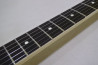 Fernandes FST-65 +Mighty Mite PU Set