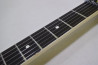 Fernandes FST-65 +Mighty Mite PU Set