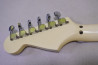 Fernandes FST-65 +Mighty Mite PU Set