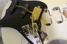 Fernandes FST-65 +Mighty Mite PU Set