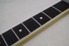 Fernandes FST-65 +Mighty Mite PU Set