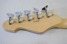 5-String ESP AP-SL5/M. Original Series.