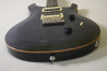PRS SE Custom 24