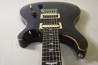 PRS SE Custom 24