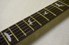 PRS SE Custom 24