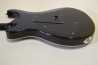 PRS SE Custom 24