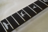 PRS SE Custom 24