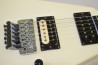 Fernandes BSV-60 +Mod.