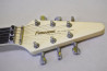 Fernandes BSV-60 +Mod.