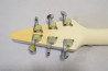 Fernandes BSV-60 +Mod.