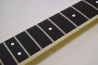 Fernandes BSV-60 +Mod.