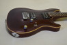 Schecter Japan RJ-1-24-VTR