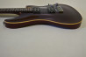 Schecter Japan RJ-1-24-VTR