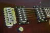 Schecter Japan RJ-1-24-VTR