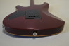 Schecter Japan RJ-1-24-VTR