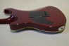 Schecter Japan RJ-1-24-VTR