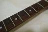 Schecter Japan RJ-1-24-VTR