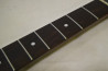 Aria Pro II ZZ Deluxe