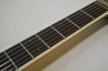 Mosrite of Classics by Filmore Japan