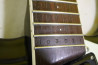 Mosrite of Classics by Filmore Japan
