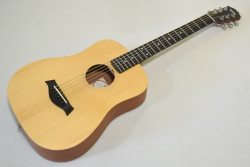 Taylor Baby BT1