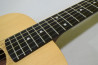 Taylor Baby BT1