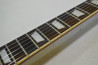 Epiphone Les Paul Standard
