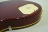 Epiphone Les Paul Standard
