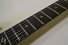DBZ Mondial (Dean Hardtail)