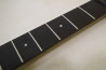 Ibanez RS520