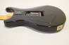 PRS CE 24 Standard USA