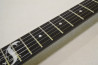 LTD SNAKEBYTE James Hetfield Model