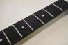 LTD SNAKEBYTE James Hetfield Model